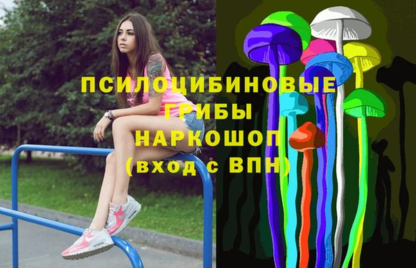 PSILOCYBIN Алексеевка