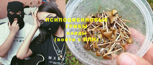 spice Алексин