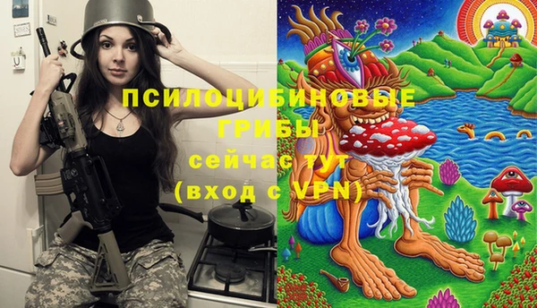 spice Алексин