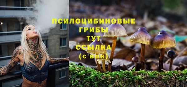 PSILOCYBIN Алексеевка