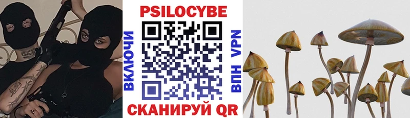 Купить где  Тобольск  Псилоцибиновые грибы Psilocybe 